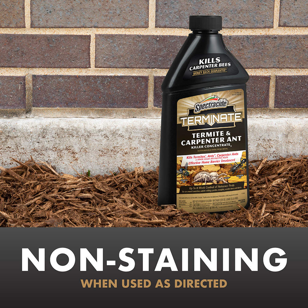 Spectracide Terminate Termite And Carpenter Ant Killer Concentrate